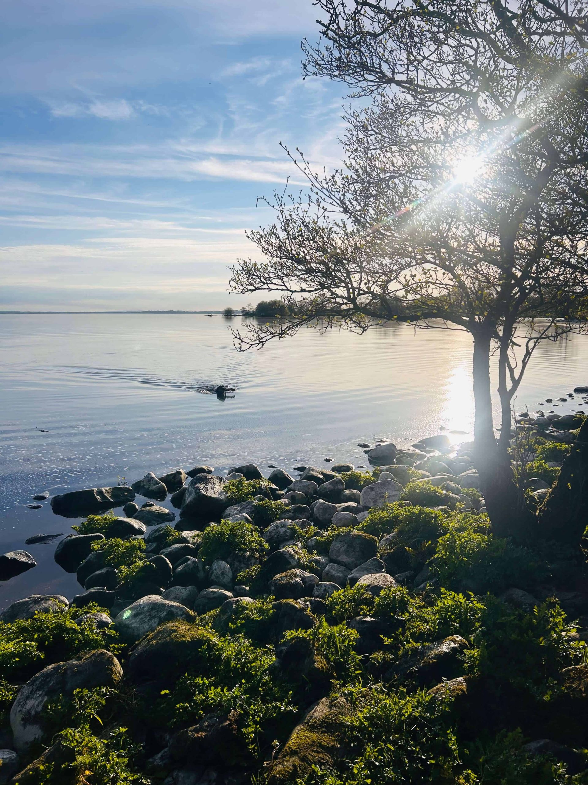Lough Neagh Heritage Resilience Plan Tender