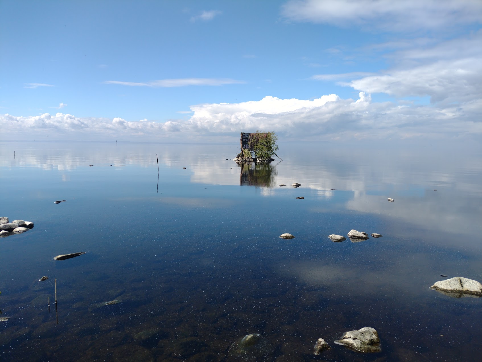 Development of Lough Neagh and Lough Beg Wildfowling and Conservation Association