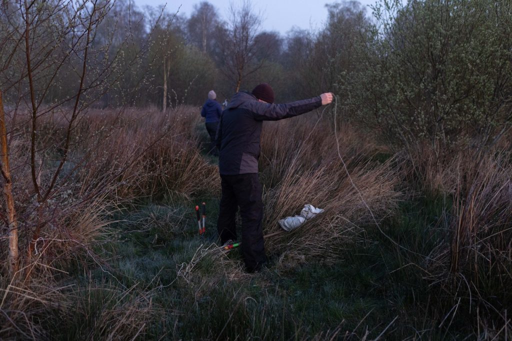 Bird Ringing at Killycolpy Lough Neagh